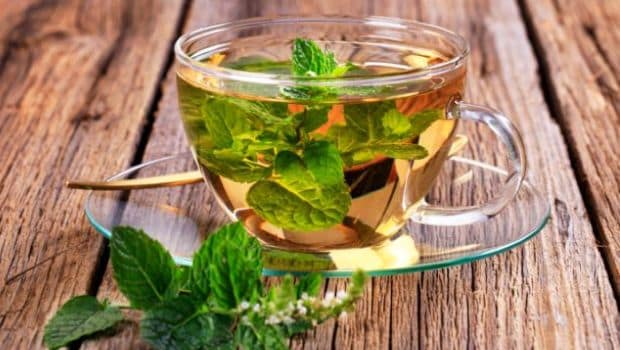 THE HEALTH BENEFITS OF PEPPERMINT TEA