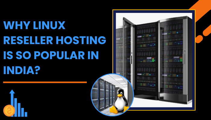 Why Linux Reseller Hosting is So Popular in India?