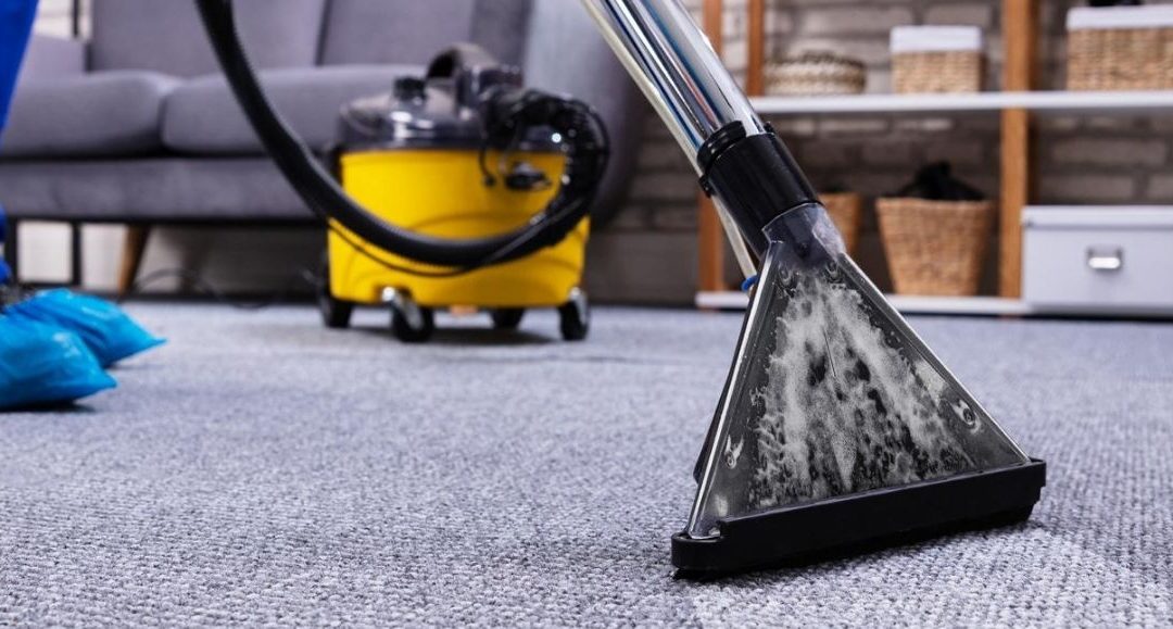 5 Reasons to Choose Professional Carpet Cleaners